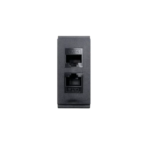 Dual RJ45 Ethernet Insert Module product image