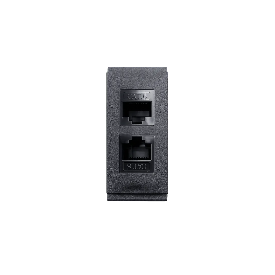 Dual RJ45 Ethernet Insert Module, 2 RJ45 ETHERNET PORTS; Black; SS 08 product image