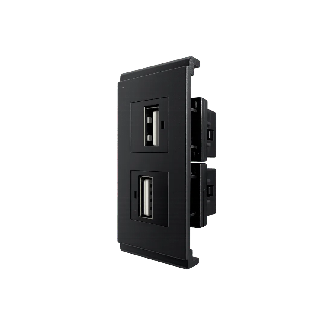 Dual USB-A Charging Insert Module, 2 USB-A PORTS; Black; SS 09 product image